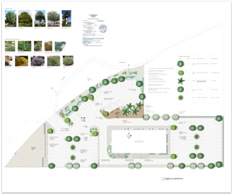 C CANNA 3_Landscape Plan